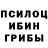 Псилоцибиновые грибы Cubensis paijwa