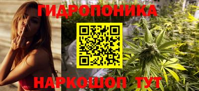 apvp Владивосток