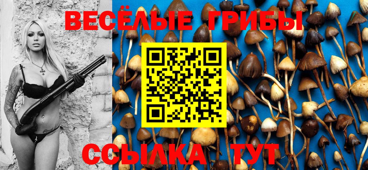 Видное  Галлюциногенные грибы MAGIC MUSHROOMS  наркошоп  Вход с VPN  Галлюциногенные грибы Cubensis 