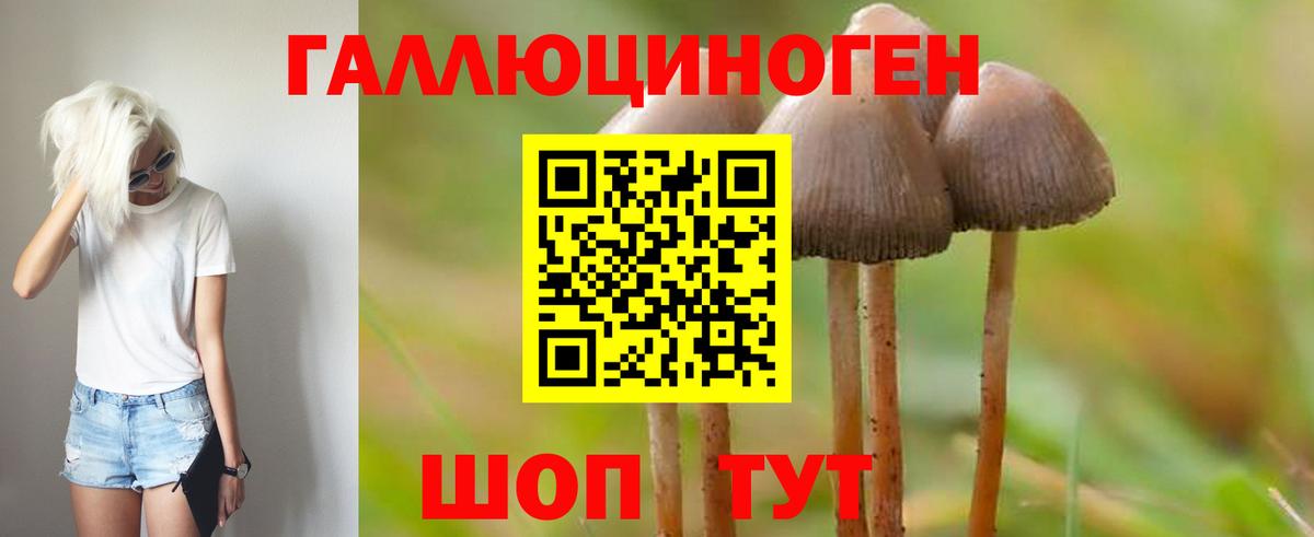 Галлюциногенные грибы ЛСД Видное