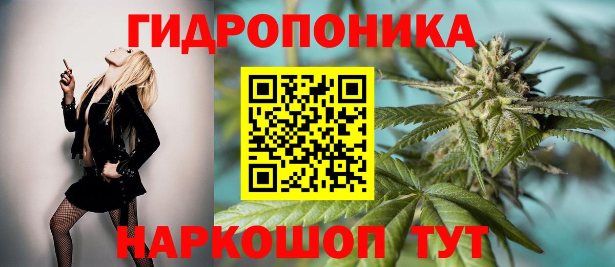 Каннабис семена  Вход с VPN  Марихуана Amnesia  Видное  Бошки марихуана Bruce Banner 